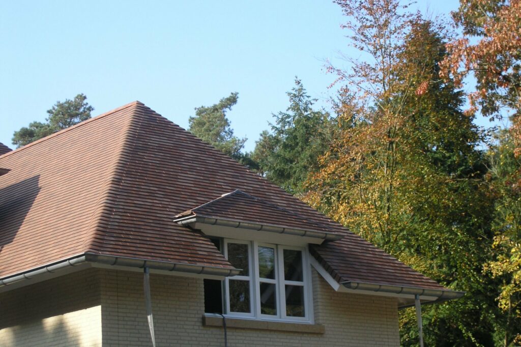
Claes dakwerken dak leipannen