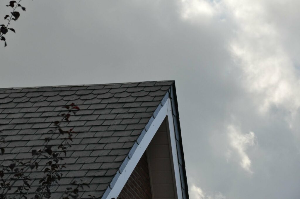 
Claes dakwerken dakrenovatie natuurleien