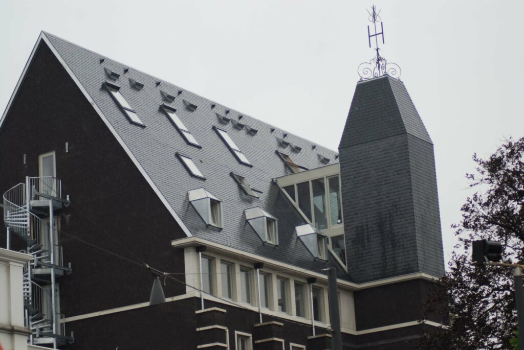 
												Claes dakwerken gulden tulp