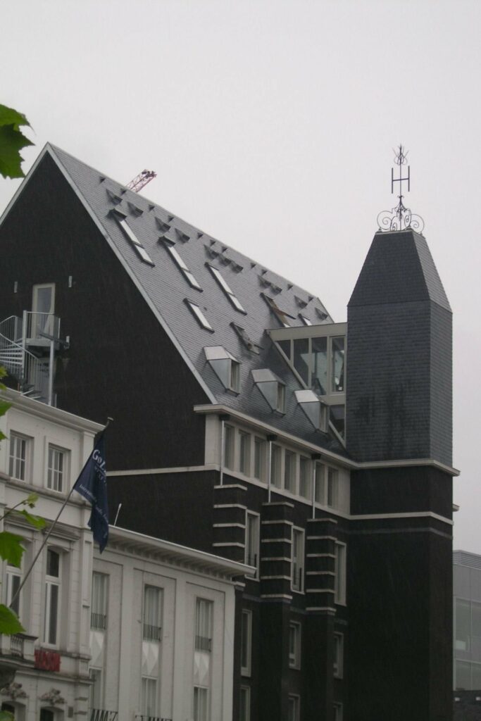 
Claes dakwerken gulden tulp