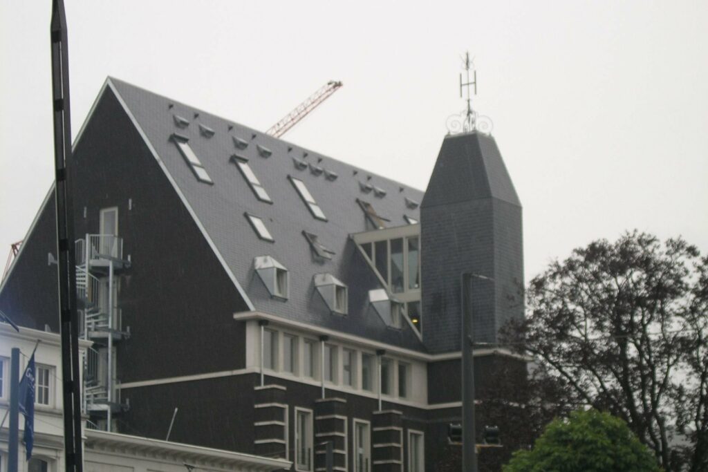 
												Claes dakwerken gulden tulp