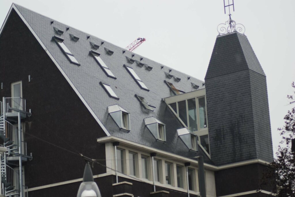 
												Claes dakwerken gulden tulp