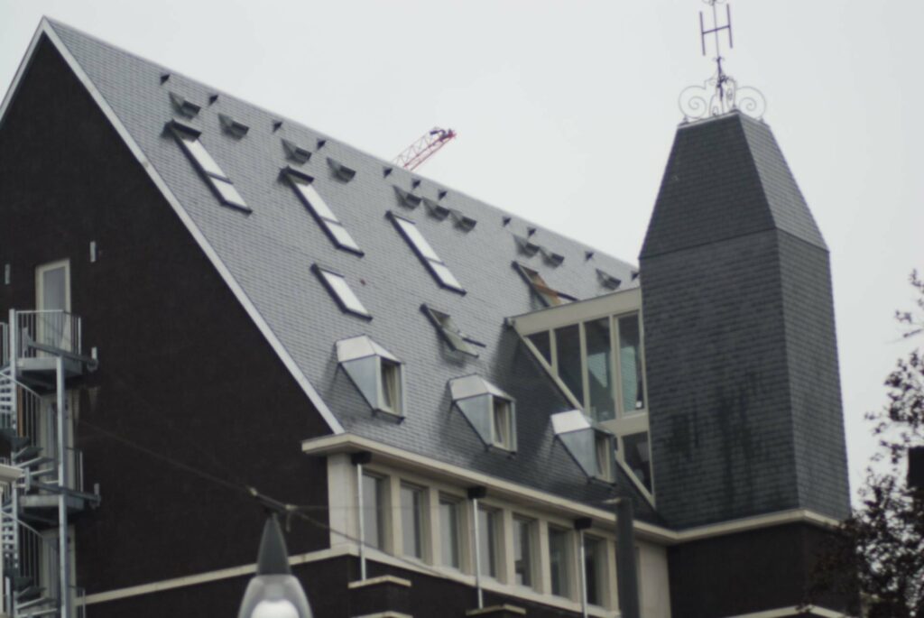 
												Claes dakwerken gulden tulp
