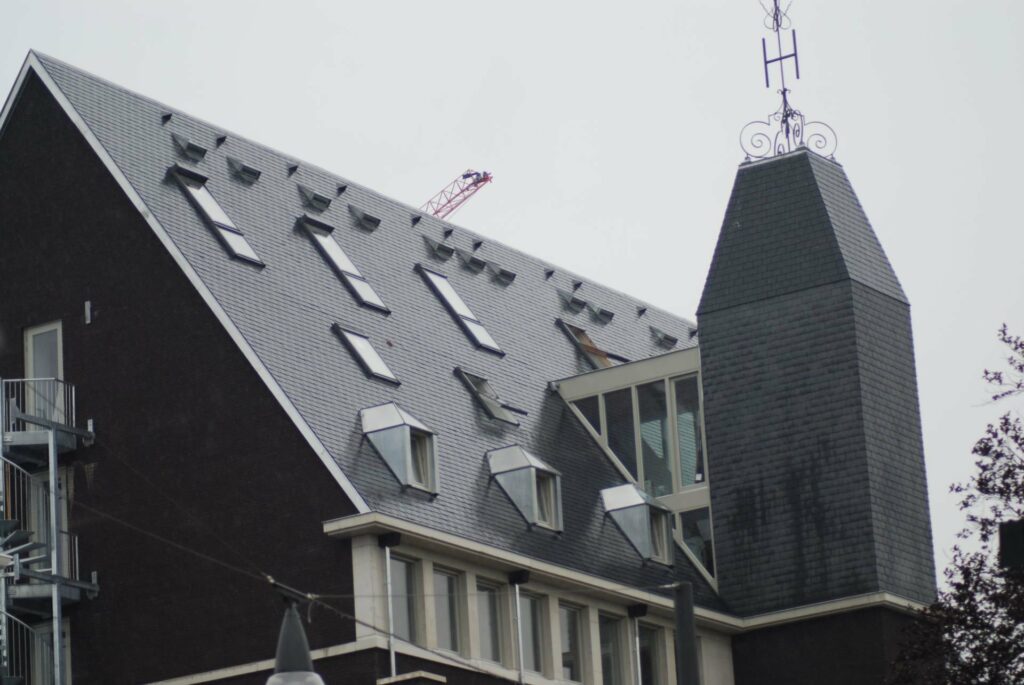 
												Claes dakwerken gulden tulp