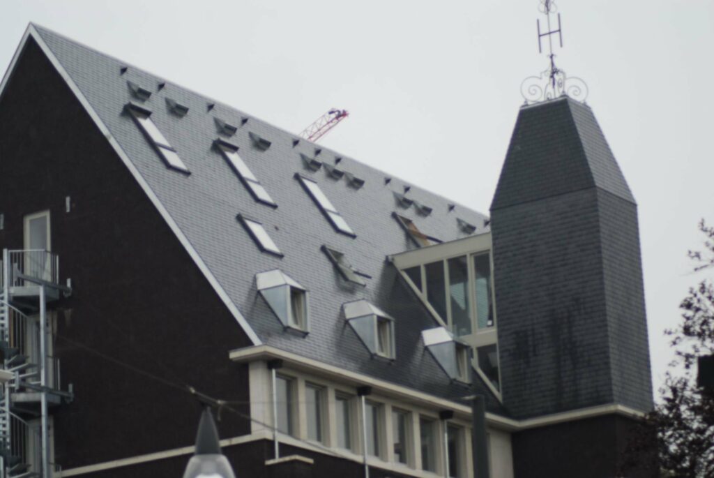 
Claes dakwerken gulden tulp